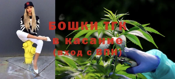 индика Абаза