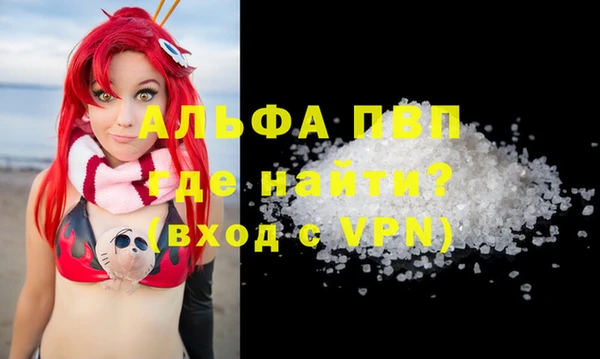 индика Абаза
