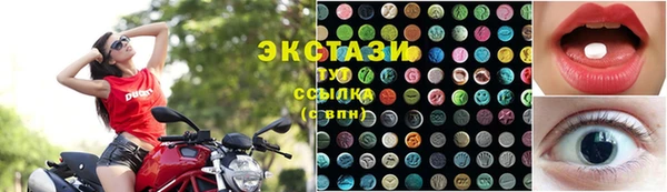 индика Абаза