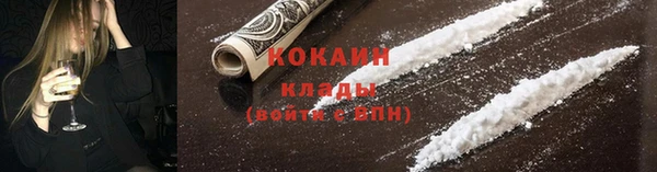 индика Абаза