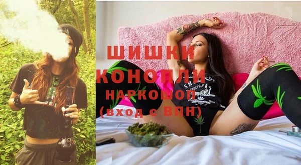 индика Абаза