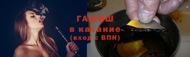 индика Абаза