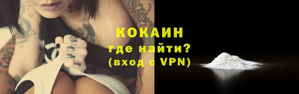 индика Абаза