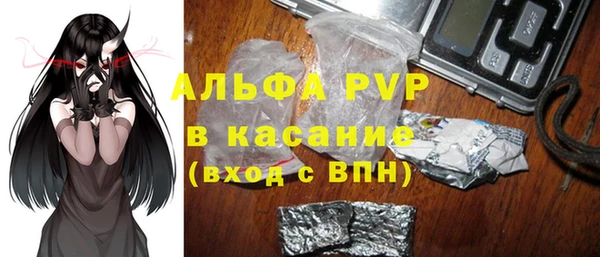 индика Абаза