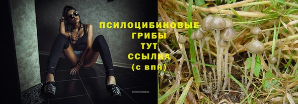 скорость Абинск