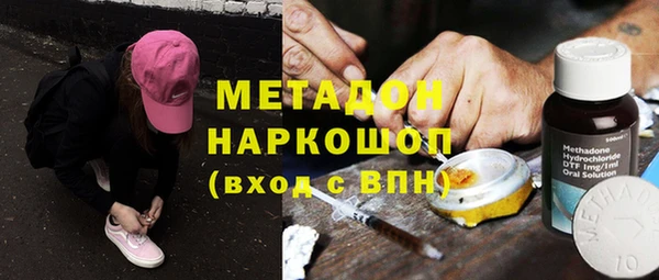 индика Абаза